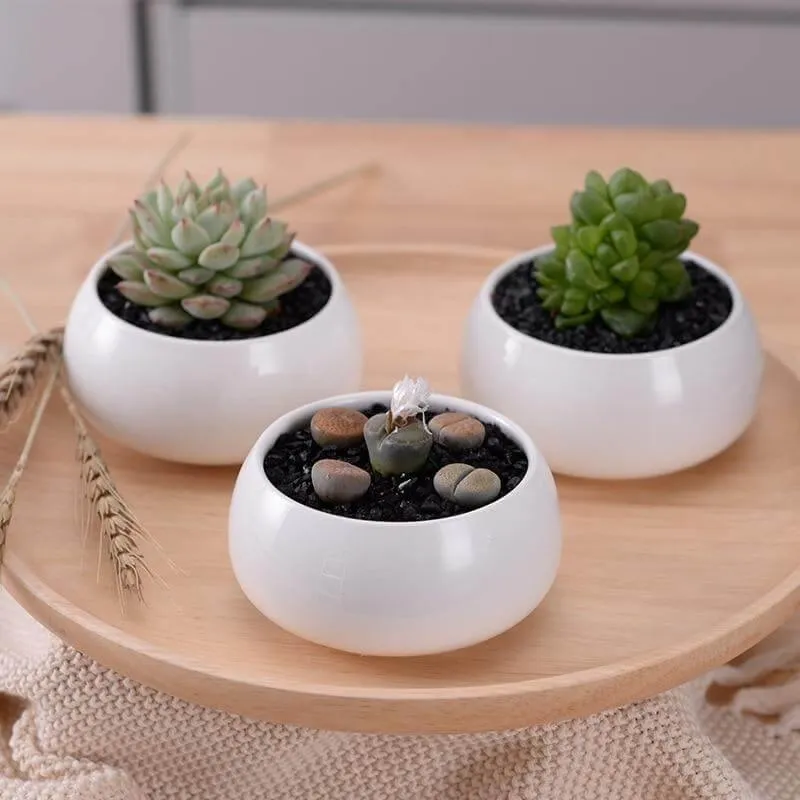 Modern Minimalist White Ceramic Flowerpot