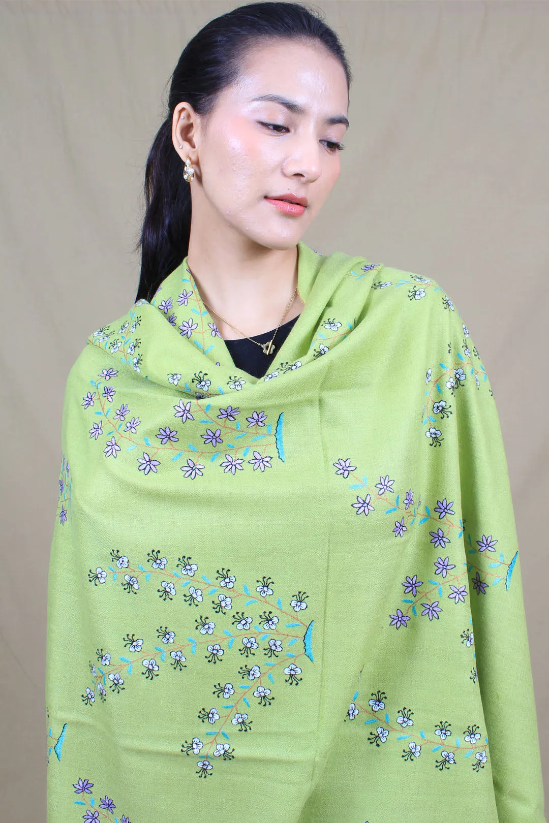 Wardah Neon Green Butidar Sozni Embroidered Pashmina Shawl